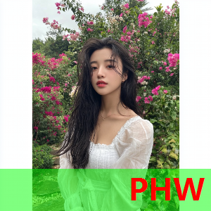 菜品摆盘装饰图片